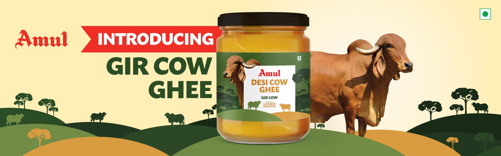 Gir Cow Ghee